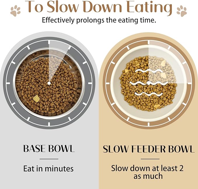BNOSDM Slow Feeder Dog Cat Bowls, Stainless Steel with Silicone Mat Dog Food and Water Bowls Set, Pet Feeding Dish to Slow Down Eating for Cats and Small Dogs Puppy, Grey