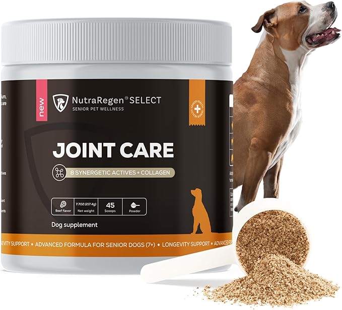 Select Senior Dog Joint Supplement 45 Servings | Natural Glucosamine Chondroitin for Dogs with Collagen | Hip and Joint Powder | 7.7 Oz