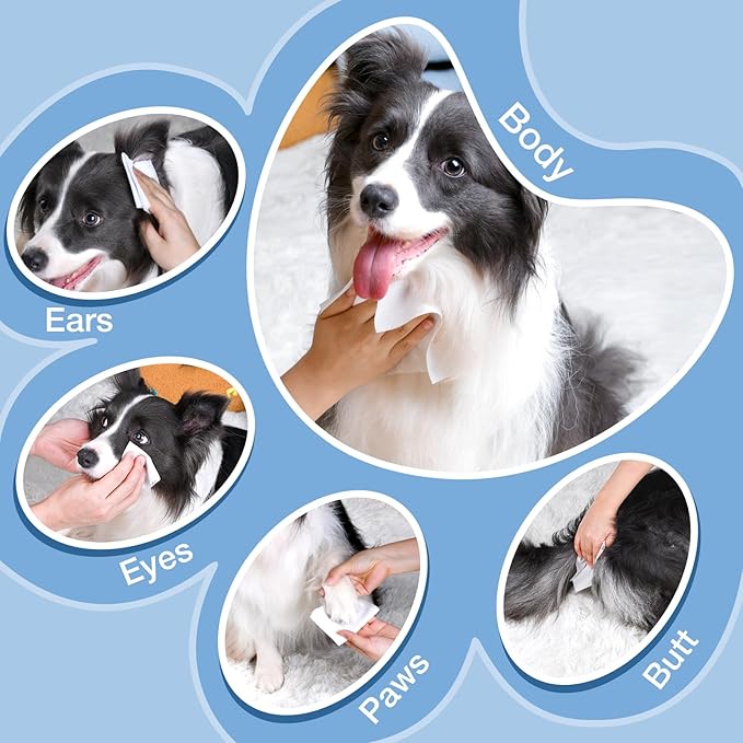 Dog Wipes and Cat Wipes Unscented with Enzymes to Eliminate Odors Paw Wipes for Muddy Feet Tear Stain Wipes for Eye Gunk Gentle Hypoallergenic for Sensitive Skin 80 Count