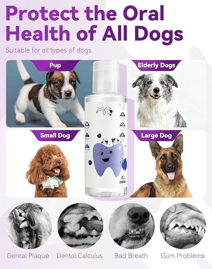 Dental Water Additive, Specialized Dental Care Formula，Natural Flavorless Teeth Cleaning Mouthwash, Freshens Dog Breath & Promotes Healthy Gums, Easy Daily Use for All Pet (200ML)