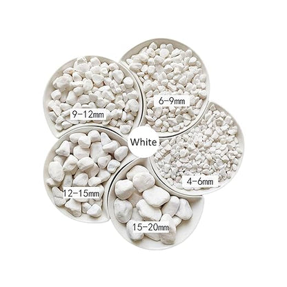 1LB Natural Gravel Pebbles, Cactus and Succulent Plants Pebbles, Small Decorative Polished Stones, White River Rocks for Potted Plants, Vases, Aquariums, Terrarium and Outdoor Gardening