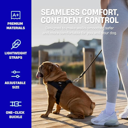 DF Co. Dog Harness | Chafe Resistant Webbing, Adjustable Neck & Chest, and Heavy Duty D-Ring | Sturdy, Comfortable, Easy to Use | Sky Blue, Size XS