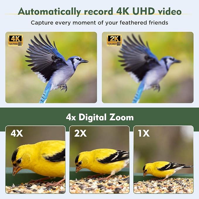 Hibird 4K HD Smart Bird Feeder with Camera Solar Powered, 2.4GHz/5GHz Dual WiFi Auto Capture Bird Video, Real-time Notifications & Live Streaming, AI Identify 10000+ Species for Gift