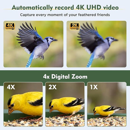 Hibird 4K HD Smart Bird Feeder with Camera Solar Powered, 2.4GHz/5GHz Dual WiFi Auto Capture Bird Video, Real-time Notifications & Live Streaming, AI Identify 10000+ Species for Gift