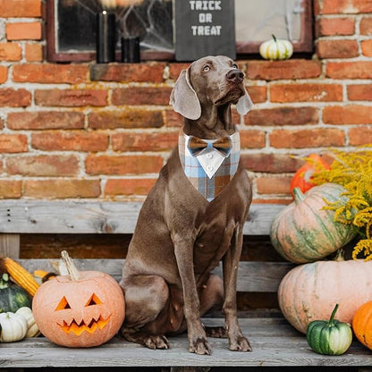 HDGDT Fall Dog Tuxedo Bandana, Orange Plaid Pet Collar with Bowtie, Adjustable Halloween Thanksgiving Dog Tux Costume for Small to Extra Large Pets
