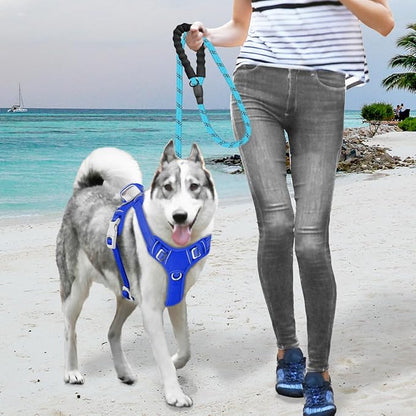 BARKBAY No Pull Dog Harness Large Reflective Dog Harness with Front Clip and Easy Control Handle for Walking Training Running with ID tag Pocket(Sapphire Blue,L)