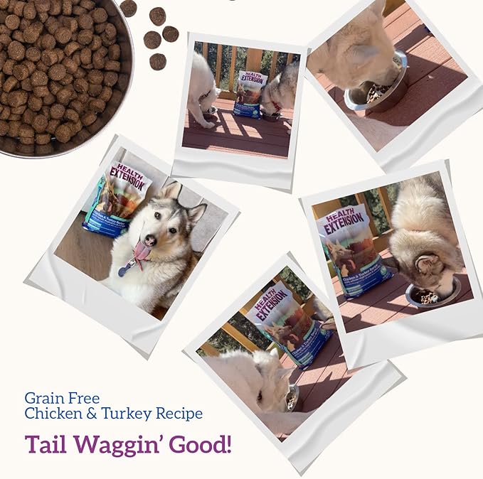 Health Extension Grain Free Chicken & Turkey Dry Dog Food - 30+ Superfoods and Probiotics for All Life Stages (23.5lb)