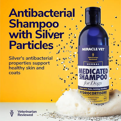 Miracle Vet Medicated Dog Shampoo for Itchy Skin Relief - Dog Allergy Relief, Yeast Infection, Hot Spot & Dry Skin Anti-Itch Treatment, Antifungal for Dogs - Hydrocortisone (16 oz)