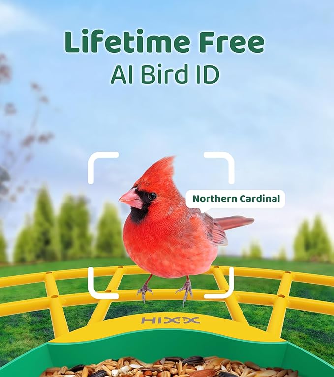 HIXX Smart Bird Feeder with Camera, AI Identify Birds & Auto Capture, 2K HD Live Camera Birdwatching with Color Night Vision for Bird Lovers Gifts Include Magnetic Toy