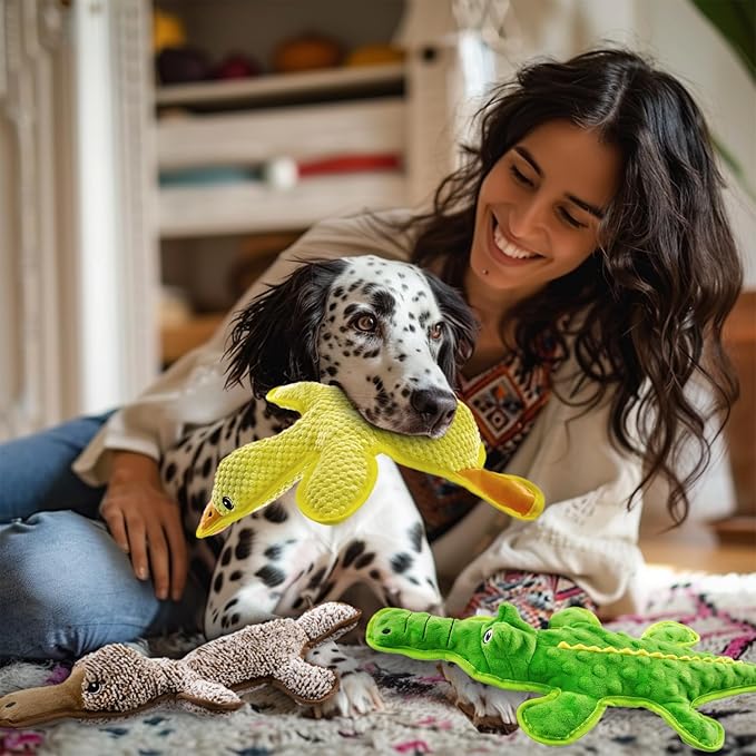 No Stuffing Dog Squeak Toys-3 Pack Chew Toys for Small Medium Large Breed- Durable Puppy Teething Interactive to Keep Them Busy- Best Birthday Gift