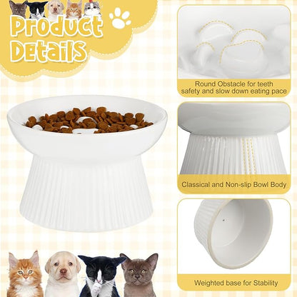 Tioncy 2 Pcs Raised Cat Slow Feeder Bowl Ceramic Elevated Cat Dog Food Bowl No Spill High Edge for Dry Wet Food and Water Easy to Clean, Dishwasher Safe(Black, White)