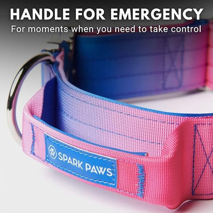 Spark Paws Tactical Dog Collar with Handle - Premium Quality Collar, Robust and Durable Design for Large, Strong Breeds - Pitbulls, Labradors, GSD - Snow Cone - S - 1.5"