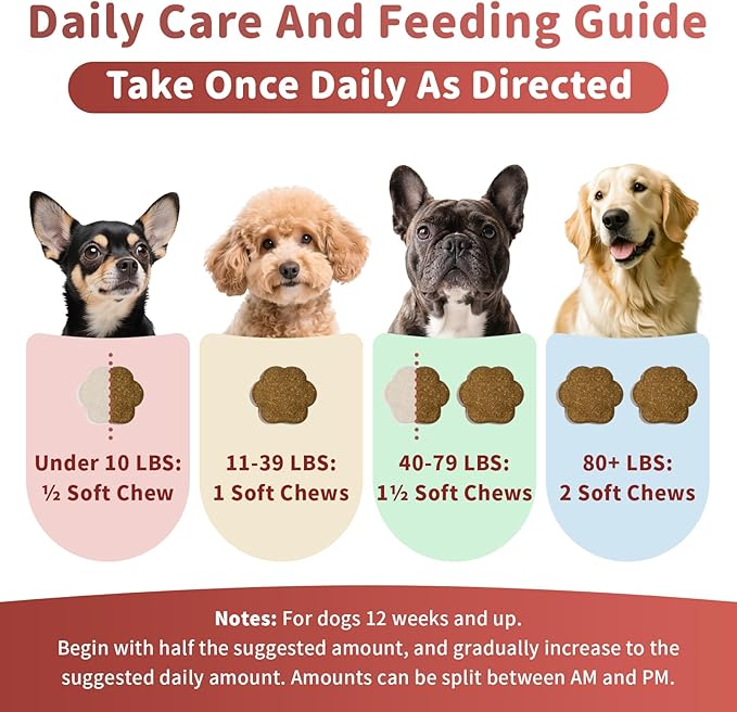 Dog Allergy Chews, Probiotics Supplement for Dogs Seasonal Allergies & Immune Support & Gut Health Pro, Mushroom Soft Chews for Joint, Energy, Itching Skin Support, Bacon Flavor - 90 Count