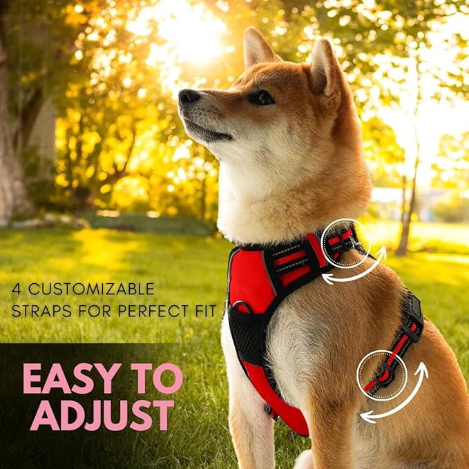 Ziggy Pet Dog Harness Adjustable Nylon Mesh Vest with Leash Clips (Red, Medium)