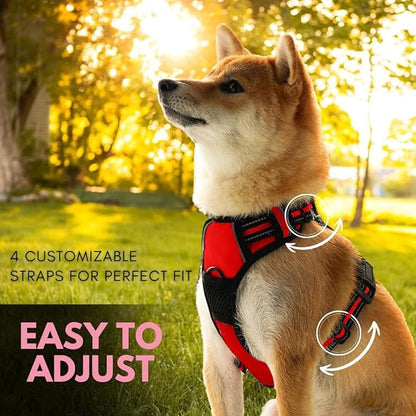 Ziggy Pet Dog Harness Adjustable Nylon Mesh Vest with Leash Clips (Red, Medium)