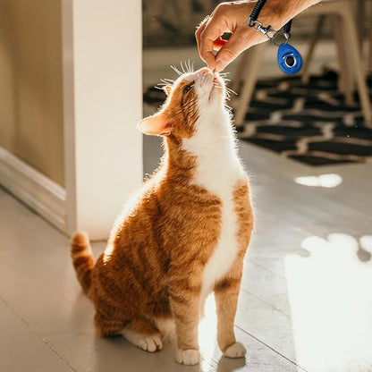 Dog Clicker for Training with Wrist Strap, Training Clicker for Puppy, Cat, Potty, Bird, Horse, Pet, Dog Clicker Trainer Training Tools, Behavior Aids, 2 Pack Blue and Red