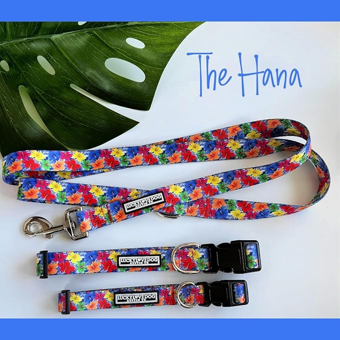 Lucky Love Dog - Easy Click Buckle Dog Collar with Leash Set Combo, Durable & Comfortable for Male & Female Dogs, Pet Collar for Small to Large Dogs, Secure Fit - Hana Combo, Medium