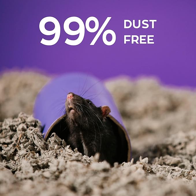 Carefresh Natural Paper Small Pet Bedding, Dust-Free | Odor Control | 30 L | Pack of 2 | 99% Dust-Free