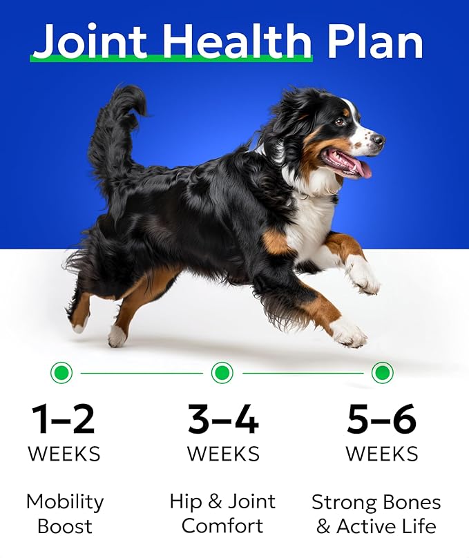 Glucosamine Chondroitin Dog Hip & Joint Supplement - Joint Pain Relief - Hip & Joint Chews for Dogs - Joint Support Large Breed - Senior Doggie Vitamin Pills Joint Health - (240 Treats - Peanut Butte)
