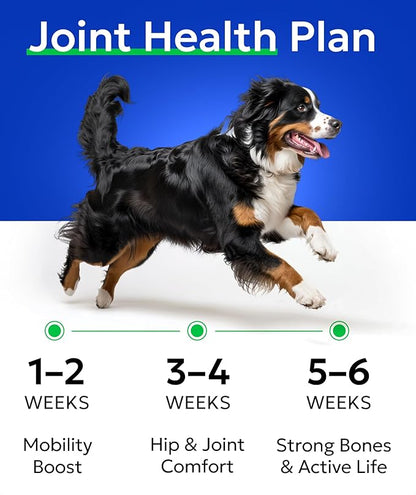 Glucosamine Chondroitin Dog Hip & Joint Supplement - Joint Pain Relief - Hip & Joint Chews for Dogs - Joint Support Large Breed - Senior Doggie Vitamin Pills Joint Health - (240 Treats - Peanut Butte)