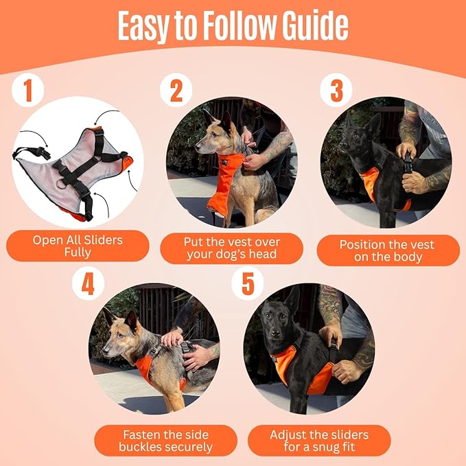 YAP Techno® No Pull Dog Harness, 4-Way Adjustable, Temperature Controlled Pet Vest Harness, Chokefree Dog Harness with Easy Control Handle for All Breeds; 30-55 lbs (Signal Orange, Medium-Wide)