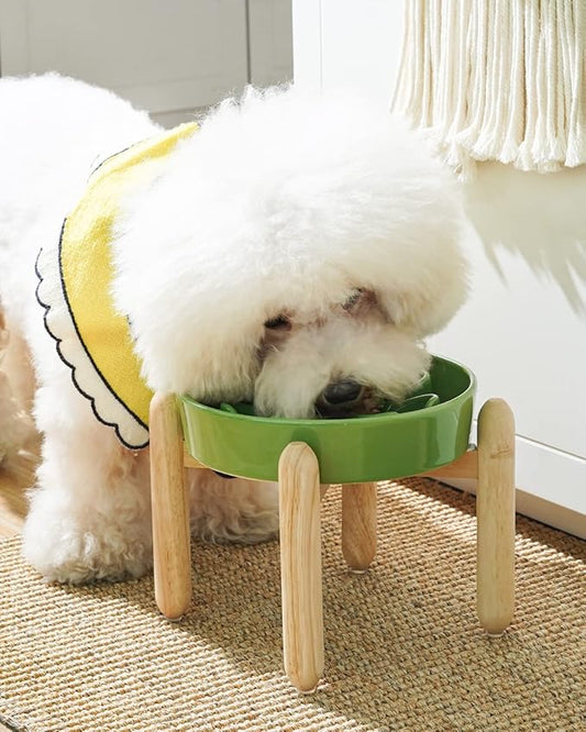 LE TAUCI Ceramic Slow Feeder Dog Bowls Elevated, 3 Cup Raised Bowl with Wooden Stand for Medium Large Breed, Slow Down Eating, Puzzle Dog Food Bowl, Clover Green