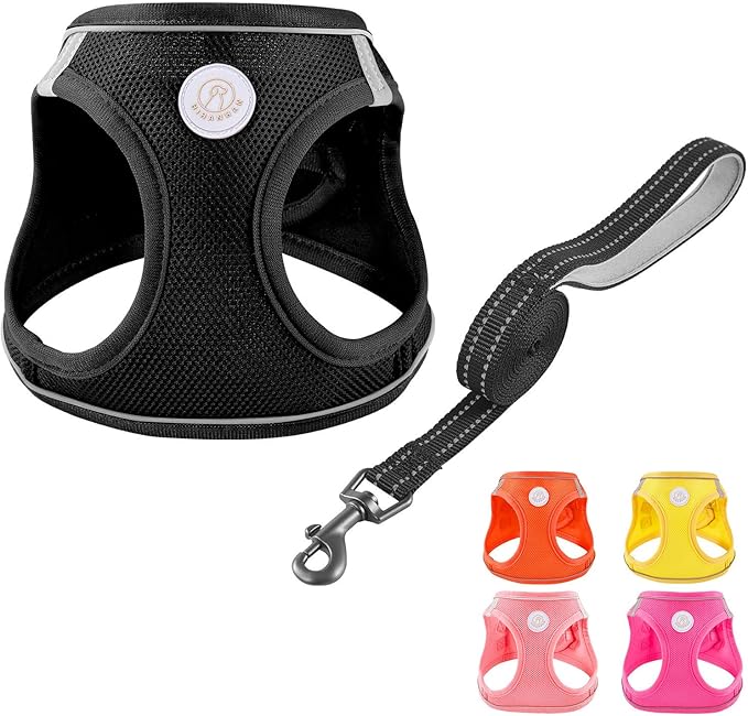 Soft Mesh Dog Harness and Leash Set, No Pull Puppy Harness and Leash Set, Reflective Step in Harness for Small Medium Dogs, Easy Walk Escape Proof Vest Harnesses (Black, XS)