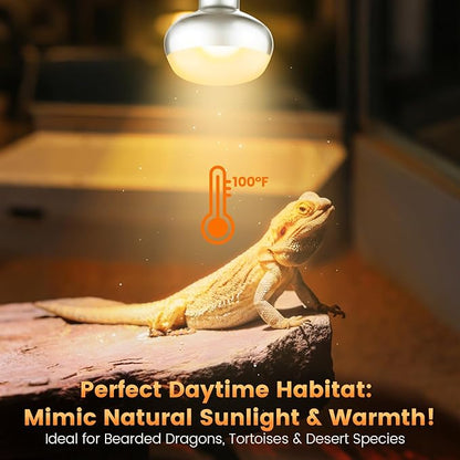 Dual Reptile Light Fixture with 100W Daytime Heat Bulb & 100W Nighttime Ceramic Heat Emitter, 2 Independent Switches, Reptile Heat Lamp Combo Pack - No UVB