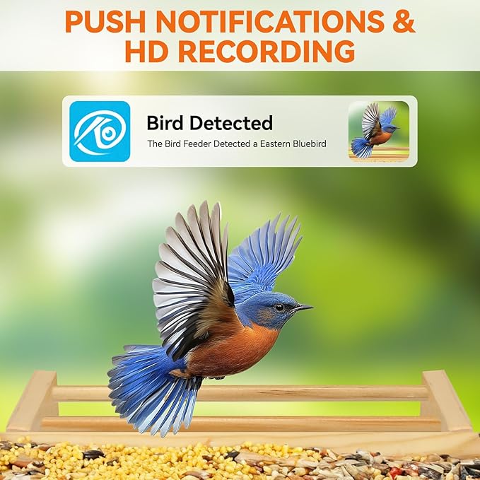 Intoo Lifes Smart Bird Feeder with Camera Solar Powered for Outdoors - 2.5K HD Wireless Birds Watching Camera, AI Identify Species,Auto Capture Birds Videos.Ideal Gift for Christmas，Bird Lover，Mom