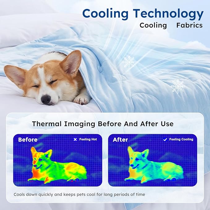 ZOMISIA Cooling Blanket for Small Dogs - High Cold Washable Cat Blanket, Travel Soft Pet Summer Essentials, Blue, 25"x35"