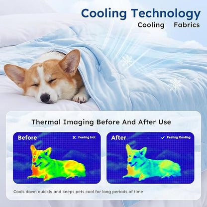 ZOMISIA Cooling Blanket for Small Dogs - High Cold Washable Cat Blanket, Travel Soft Pet Summer Essentials, Blue, 25"x35"