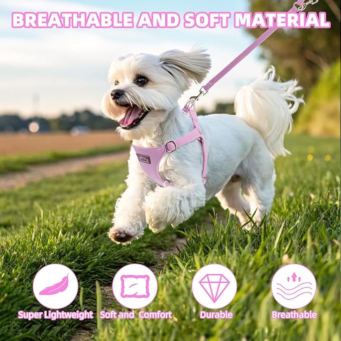 PUPTECK Dog Harness and Leash Set Small Sized, Step-in Cute Puppy Harness, Soft Lightweight Padded Vest, Escape Proof No Pull Pet Harnesses Easy for Walking, Purple, XS