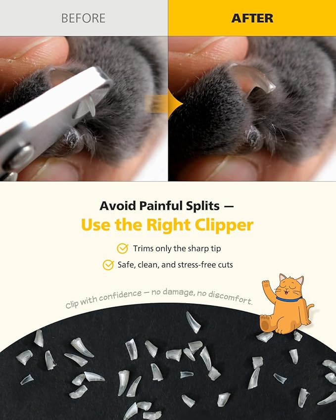 [PETHROOM] Cat Nail Clipper Trimmer for Indoor Cats with Circular Cut Hole (2mm) | Premium Sturdy Stainless Steel Blade Cat Claw | Safe, Easy, Accurate, Quiet & Fast | Avoid Overcutting