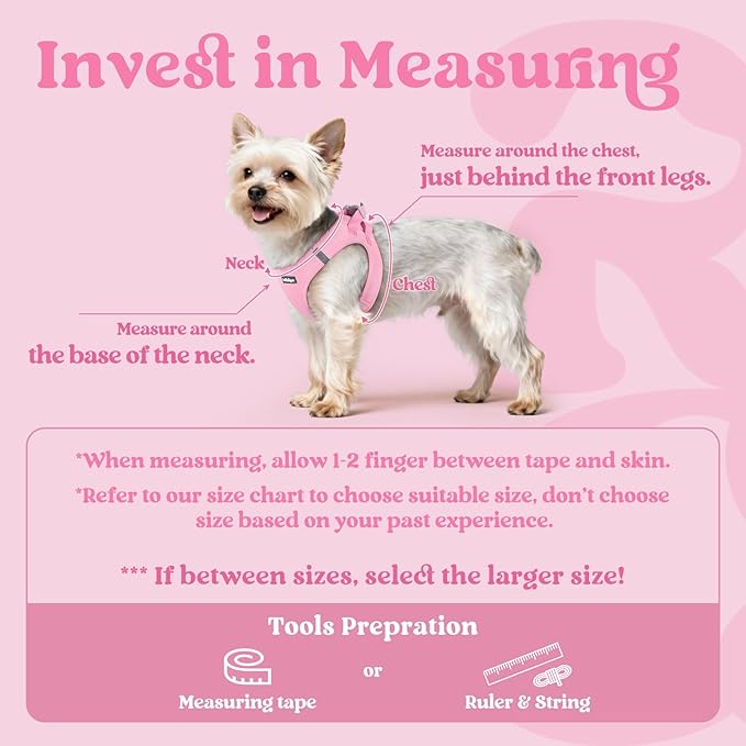 rabbitgoo Small Dog Harness, Step-in Soft Mesh Puppy Vest with Safety Buckle, Breathable Reflective Pet Harness for Small Sized Dogs, Light Pink M