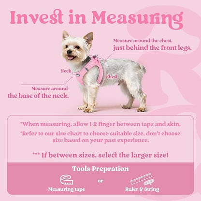 rabbitgoo Small Dog Harness, Step-in Soft Mesh Puppy Vest with Safety Buckle, Breathable Reflective Pet Harness for Small Sized Dogs, Light Pink M