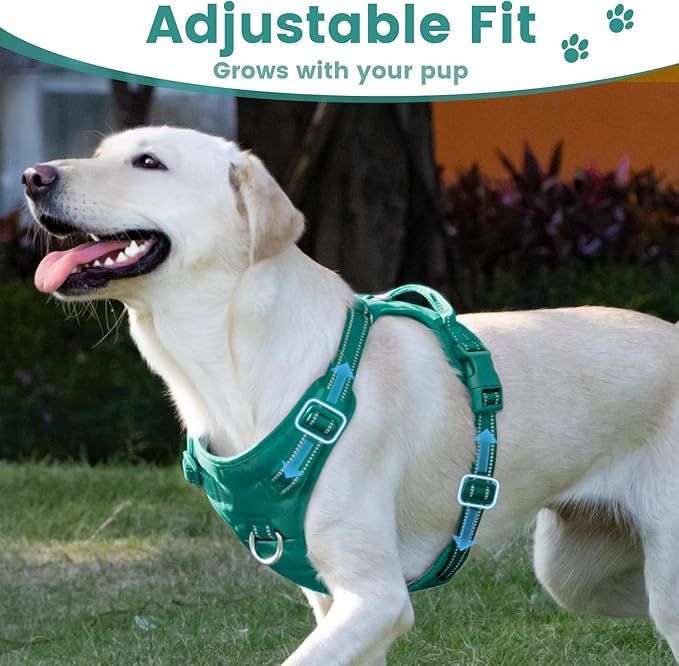 No Pull Dog Harness, Reflective Puppy Vest for Small Medium Large Sized Dog(MARRS Green,L)