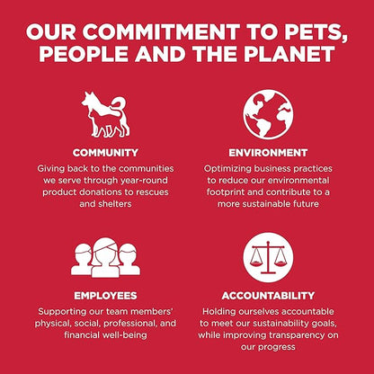 Go! Solutions Skin + Coat Care, Dry Dog Food, Lamb Recipe with Grains, 3.5 lb Bag