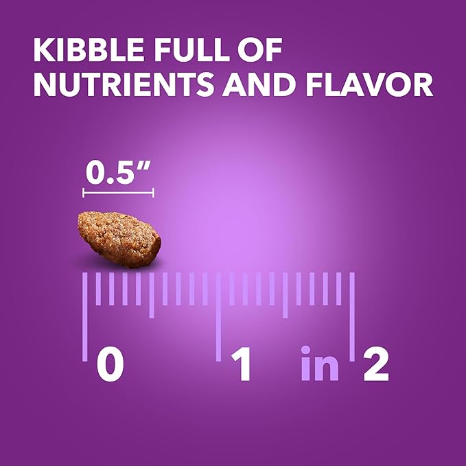 IAMS Advanced Health Skin & Coat Adult Dry Dog Food Chicken and Salmon Recipe, 27 lb. Bag