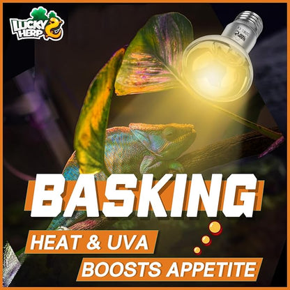 LUCKY HERP Heat Lamp Bulbs, UVA Intense Basking Spot Light Reptile Heat Lamp(Clear) 50W, Simulated Natural Sunlight Heat Lamp Bulbs for Reptile, Bearded Dragon, Amphibian, Turtle, Snake, Lizard