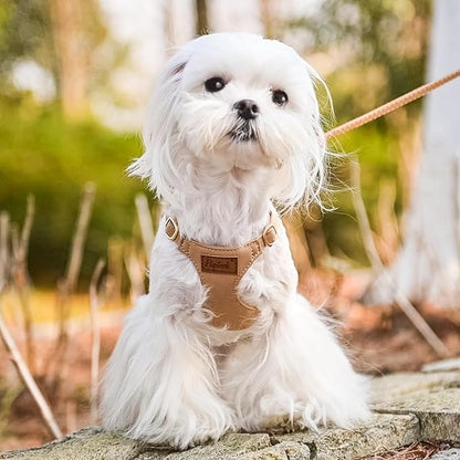 PUPTECK Dog Harness and Leash Set Small Sized, Step-in Cute Puppy Harness, Soft Lightweight Padded Vest, Escape Proof No Pull Pet Harnesses Easy for Walking, Khaki, S