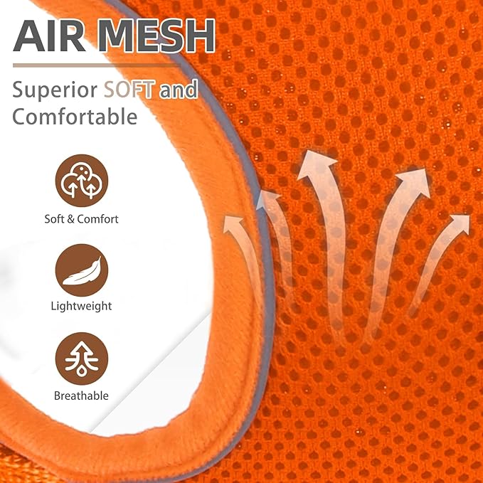 PUPTECK Small Dog Harness and Leash Set, No Pull Adjustable Puppy Cat Harness, Reflective Soft Mesh Pet Vest Small Sized