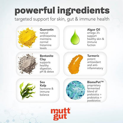 MuttGut® Dog Allergy and Immune Chews - Itch Relief for Dogs with Skin & Coat Support - Allergy Relief for Dogs Itching & Licking - Pet Allergy Chews for Seasonal Allergies - 60 Soft Chews