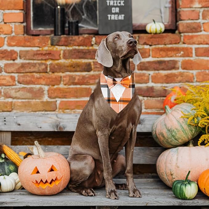 Fall Dog Tuxedo Bandana, Orange Plaid Pet Collar with Bowtie, Adjustable Halloween Thanksgiving Dog Tux Costume for Small to Extra Large Pets