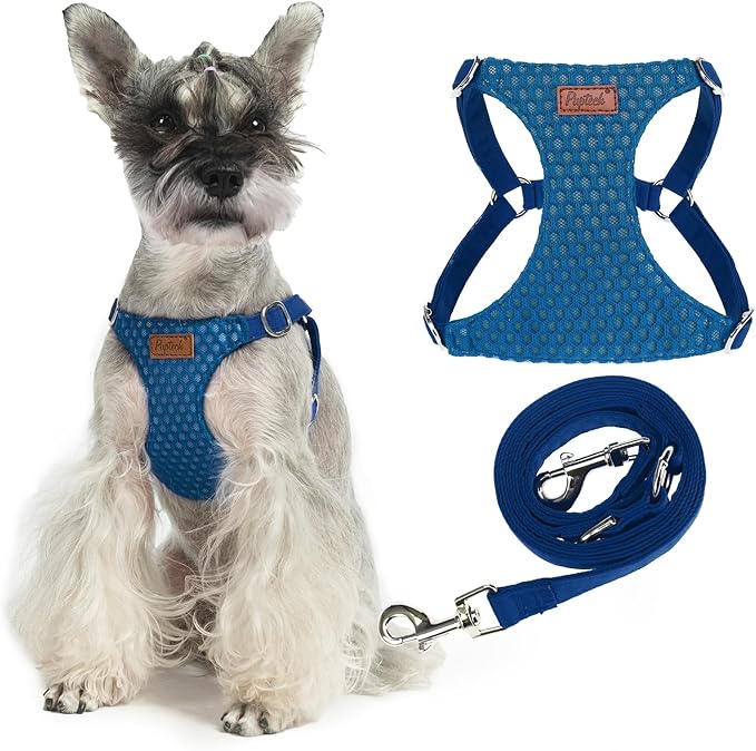 PUPTECK Dog Harness and Leash Set Small Sized, Step-in Cute Puppy Harness, Soft Lightweight Padded Vest, Escape Proof No Pull Pet Harnesses Easy for Walking, Blue, S