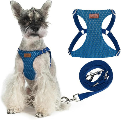 PUPTECK Dog Harness and Leash Set Small Sized, Step-in Cute Puppy Harness, Soft Lightweight Padded Vest, Escape Proof No Pull Pet Harnesses Easy for Walking, Blue, S
