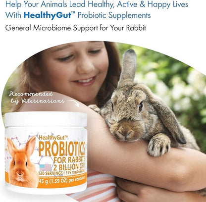 Equa Holistics HealthyGut Probiotics for Rabbits Dietary Supplement, All-Natural Digestive System Formula (120 Servings)