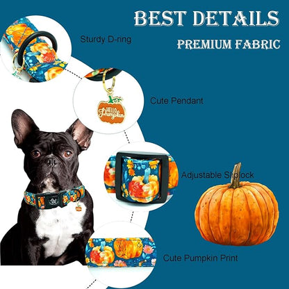 Elegant little tail Halloween Dog Collar, Pumpkin with Flower Print Blue Fall Pet Collars Cotton Soft Sturdy Puppy Collars Holiday Female Adjustable Collar for X-Small Puppy