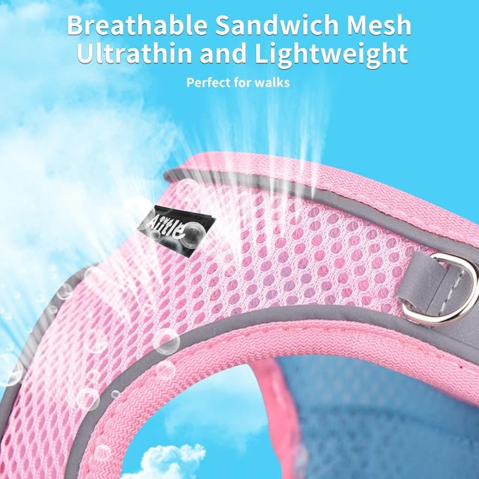 AIITLE Small Harness for Puppy with A Leash - Summer Dog Vest Harness with Super Breathable Mesh, Reflective No-Pull Pet Harness for Outdoor Walking, Camping for Small Dogs, Cats Pink XXS