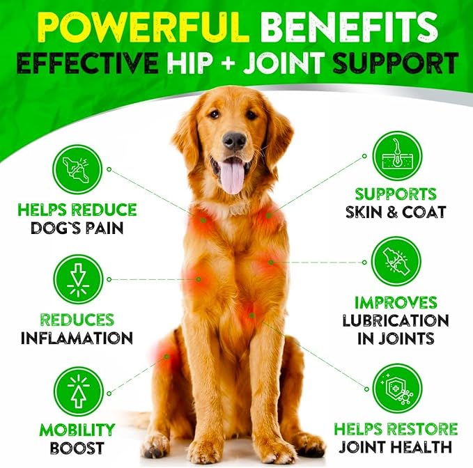 Hemp Hip and Joint Supplement for Dogs - Glucosamine for Dogs - 170 Dog Joint Pain Relief Treats - Chondroitin, Hemp Oil, MSM - Mobility & Flexibility Support - Advanced Care Health - Made in USA