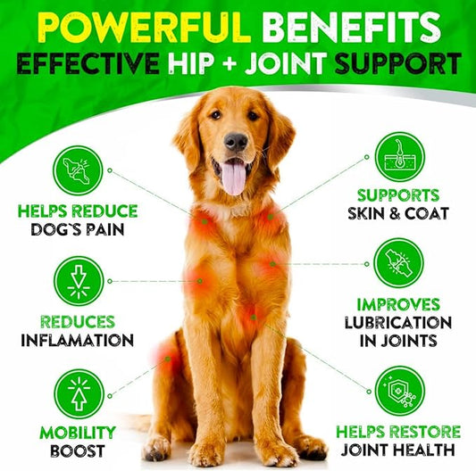 Hemp Hip and Joint Supplement for Dogs - Glucosamine for Dogs - 170 Dog Joint Pain Relief Treats - Chondroitin, Hemp Oil, MSM - Mobility & Flexibility Support - Advanced Care Health - Made in USA